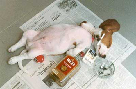 Funny picture of the day